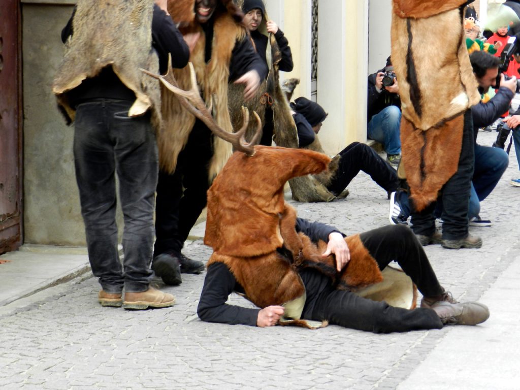 Is Cerbus - der Hirsch in einer Strassenszene