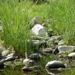 Idylle am Nebenlauf des Flusses Flumendosa