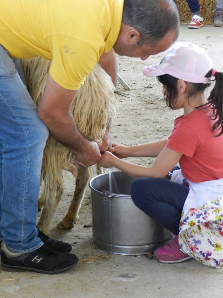 Toll für Kinder: ein Tag oder ein Urlaub auf dem Agriturismo