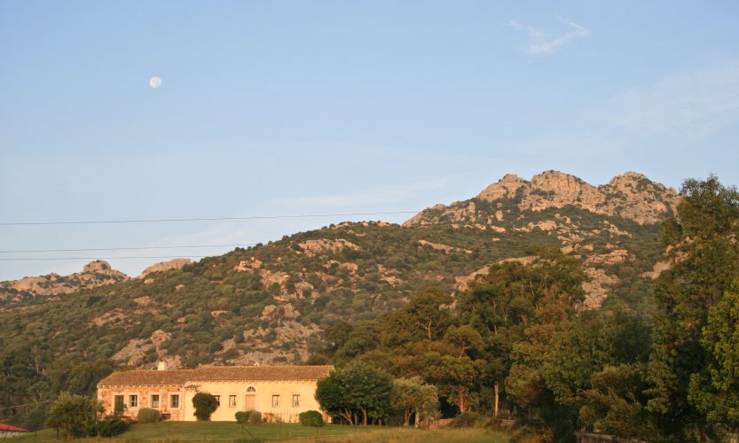 Schöner Agriturismo mit solider Qualität an der Küste: La Colti, Cannigione