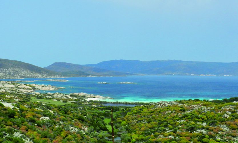 Cala Andrea in der höchsten Schutzzone auf der Isola dell'Asinara