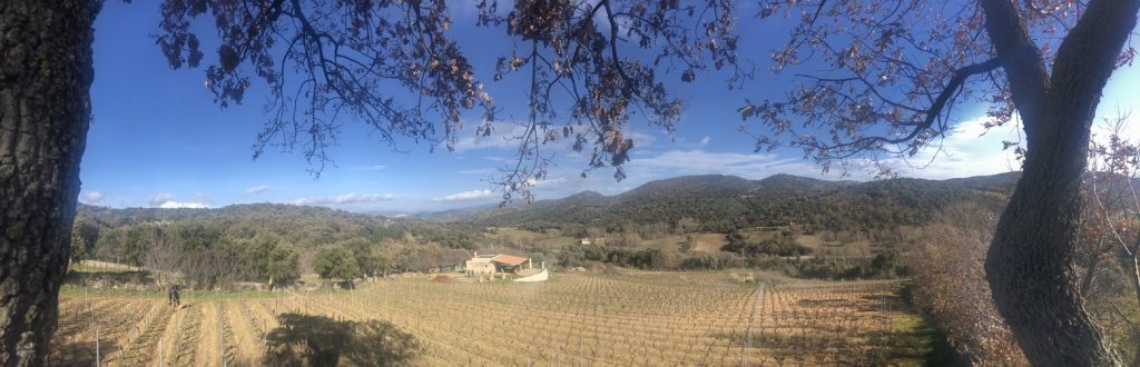 Grandioser Blick über die Landschaft von Mamoiada und die Weinhänge der Cantina Gungui 