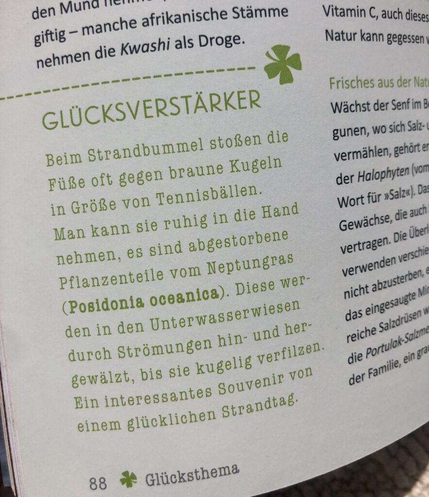 Dieser Glücksverstärker ist nicht ganz unkritisch: Die Posidonia gehört zum Küstenschutz und muss am Strand bleiben. Nichts darf entfernt werden - auch keine Muscheln oder Strandsand. Die Natur badet schon genug von unserem "Glück" aus. 