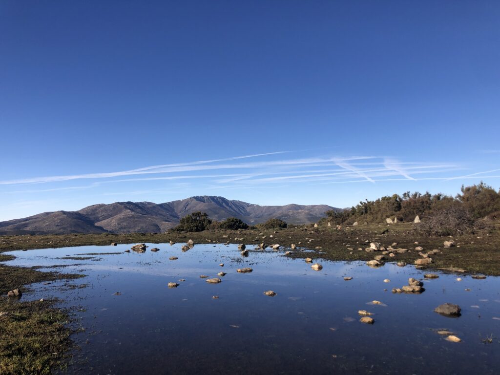 Blick von der Perda Liana auf die Gebirgskette des Gennargentu, mit dem höchsten Gipfel Punta Lamarmora