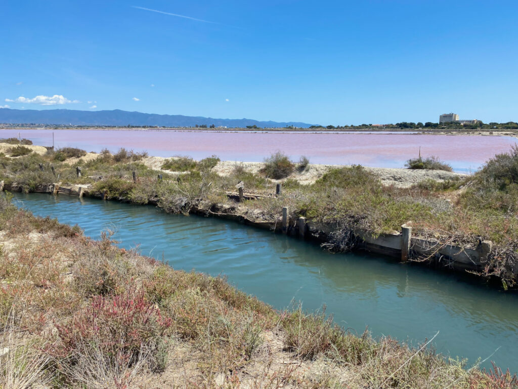 Ein Traum – gerade im Frühling (hier: April) – ist der Parco Regionale Molentargius Saline