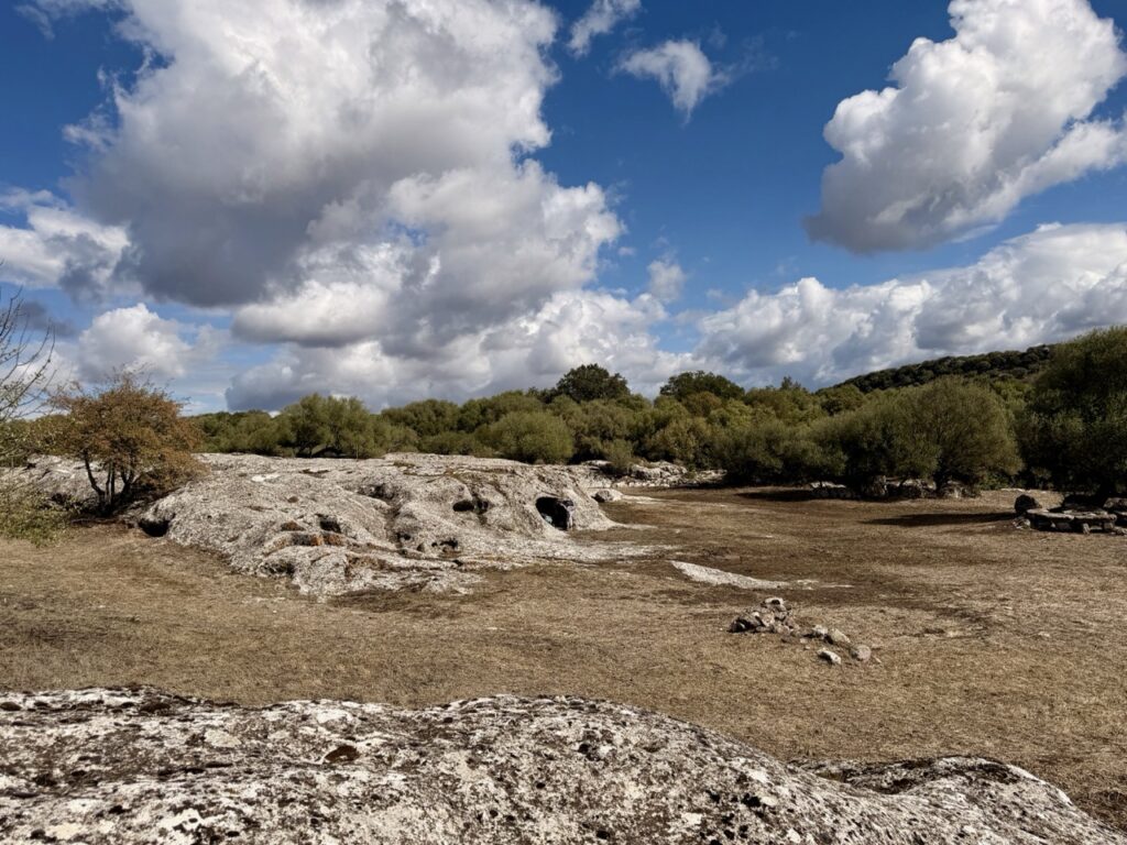 Nekropole domus de janas – Puttu Codinu bei Villanove Monteleone